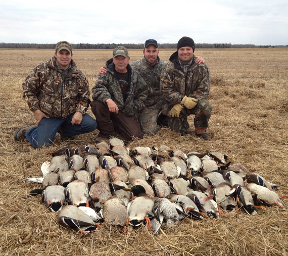 Waterfowl