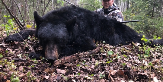 northernedgeoutfitting.bear.(11)