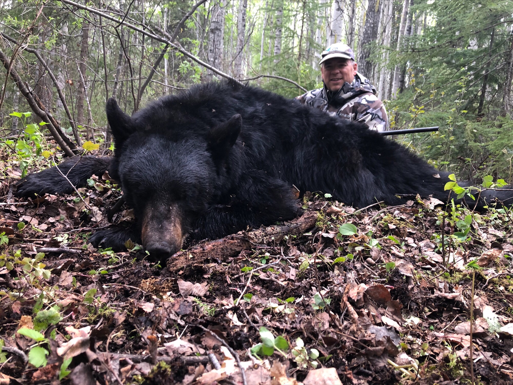 northernedgeoutfitting.bear.(11)