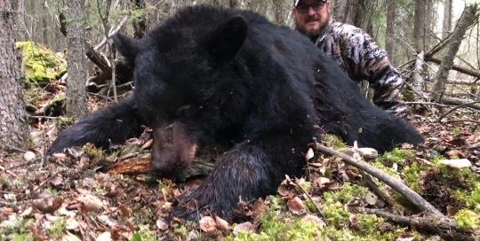 northernedgeoutfitting.bear.(14)