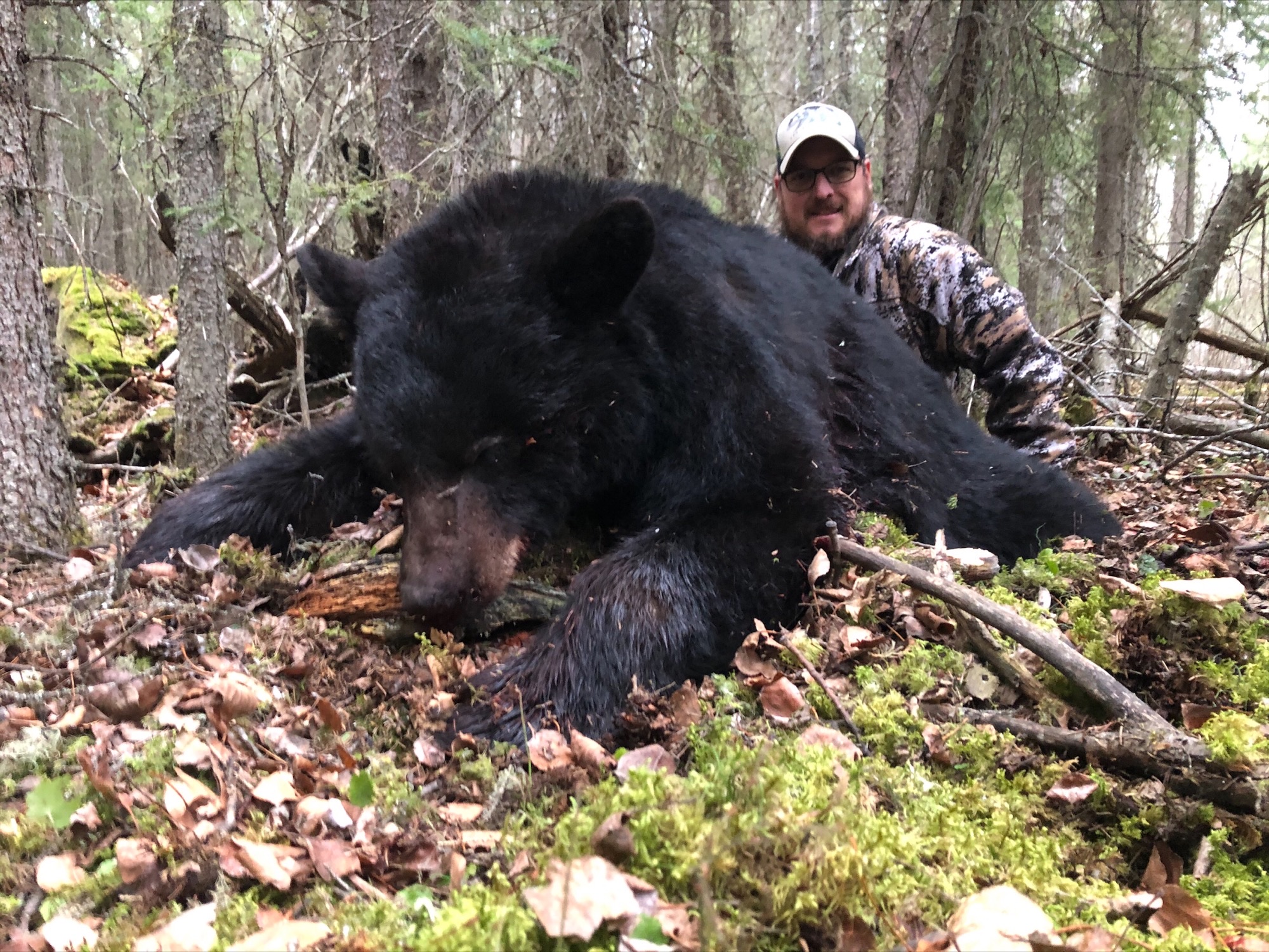 northernedgeoutfitting.bear.(14)