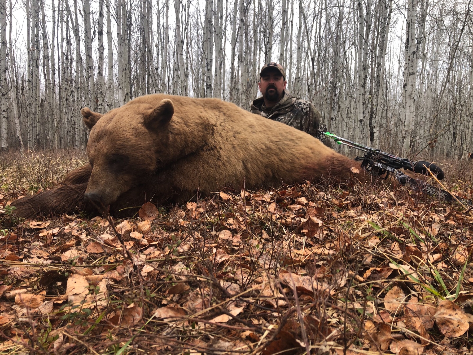 northernedgeoutfitting.bear.(15)