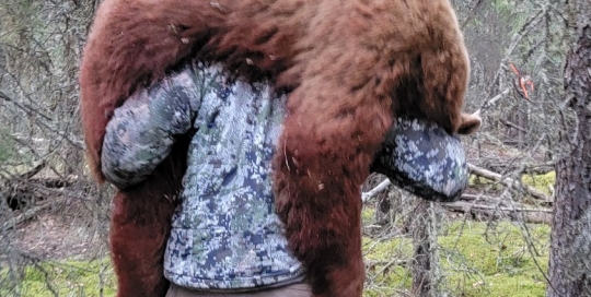 northernedgeoutfitting.bear.(16)