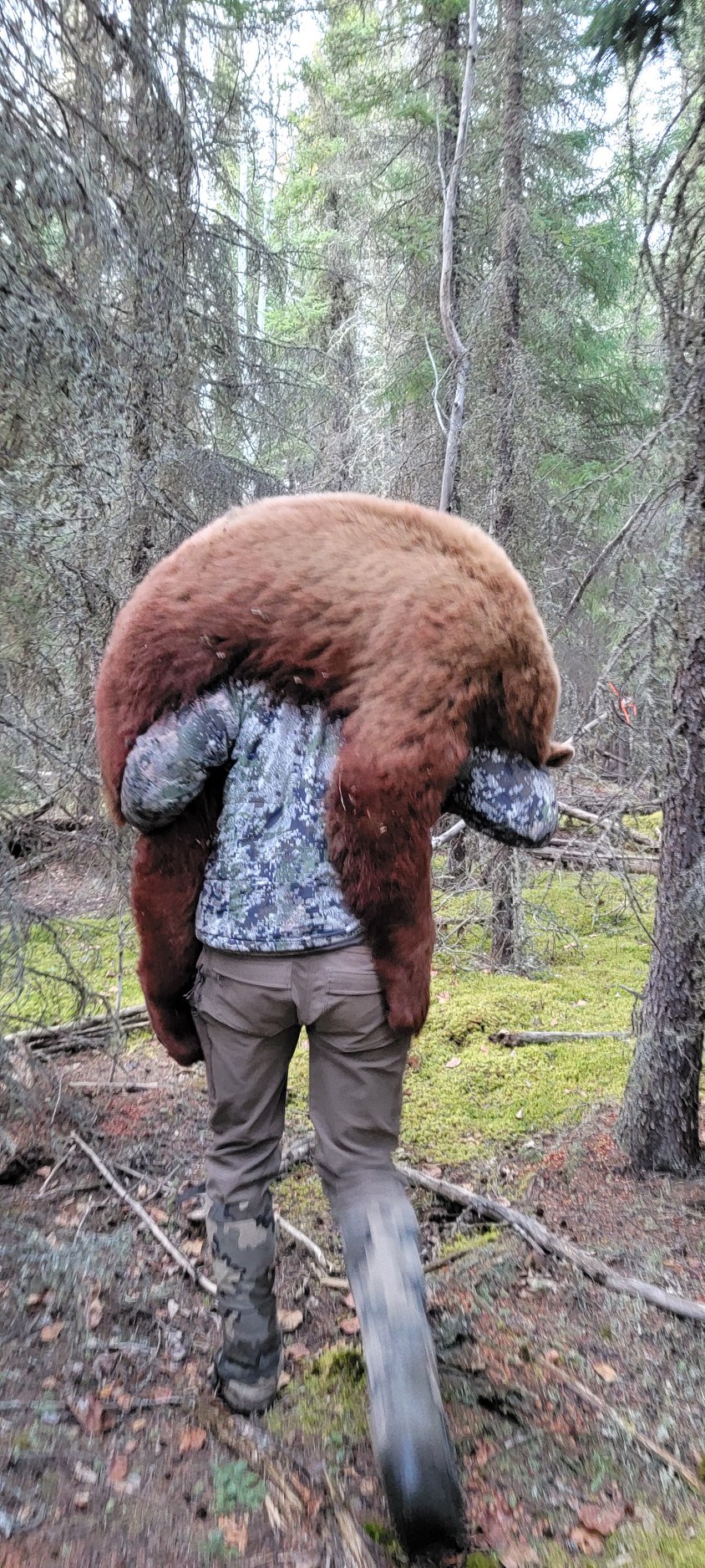 northernedgeoutfitting.bear.(16)