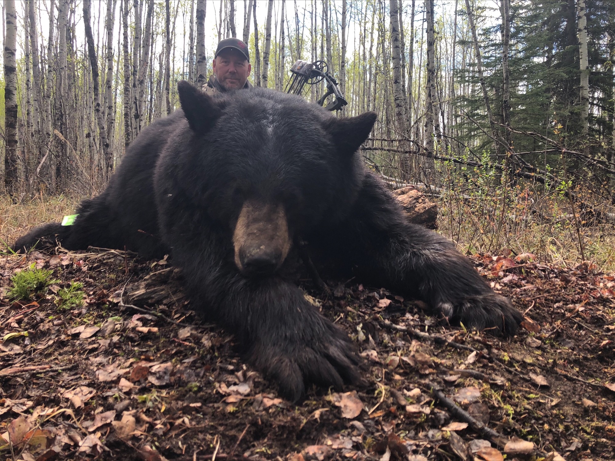 northernedgeoutfitting.bear.(6)