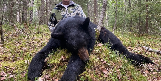 northernedgeoutfitting.bear.2023.07 (10)