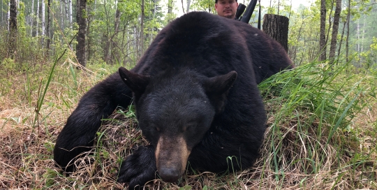 northernedgeoutfitting.bear.2023.07 (9)