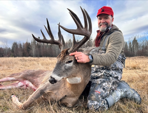 Whitetail