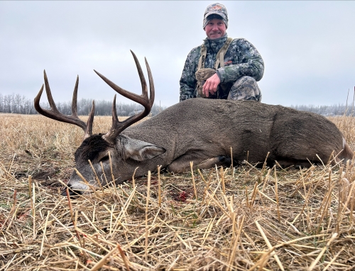 Whitetail