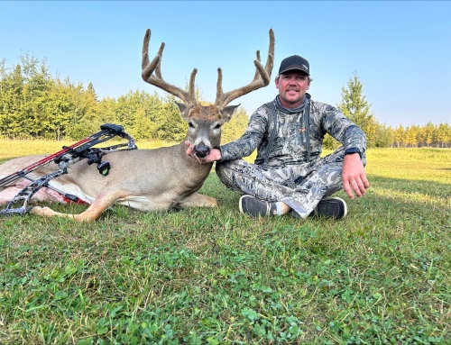 Whitetail