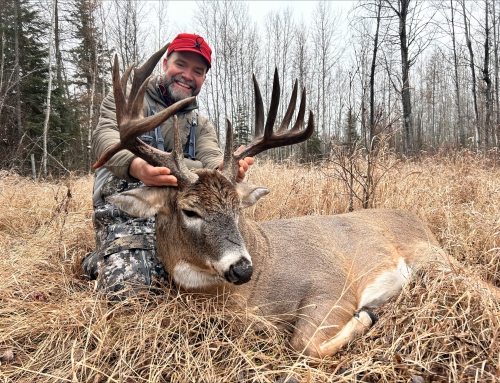 Whitetail